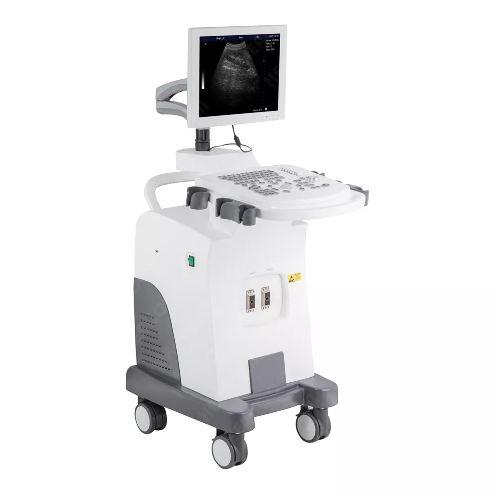 Full Digital Trolley B/W Ultrasound Scanner (HBW-10 Plus)