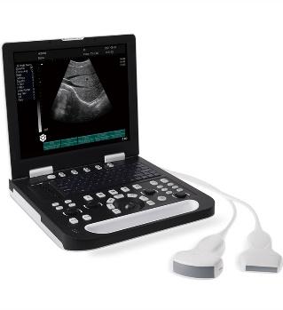 Laptop B/W Ultrasound Scanner (HBW-8)